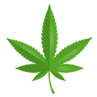 Delta 8 cannabis