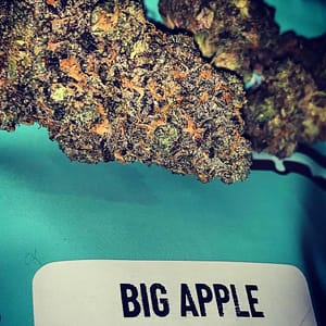 Big Apple strain