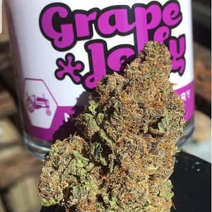 Grape jelly strain