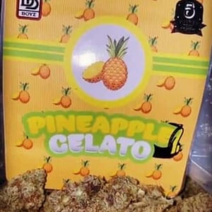 Pineapple Gelato Strain