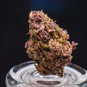 Pink Candy strain