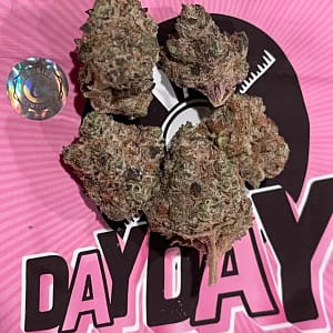Day Day cookies strain