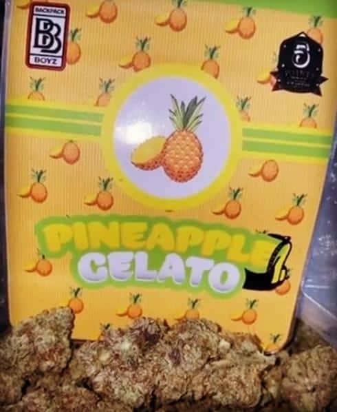Pineapple Gelato Strain - Delta 8 Cannabis