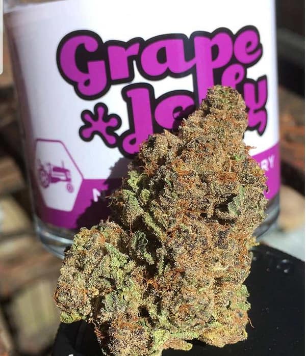 Grape jelly strain